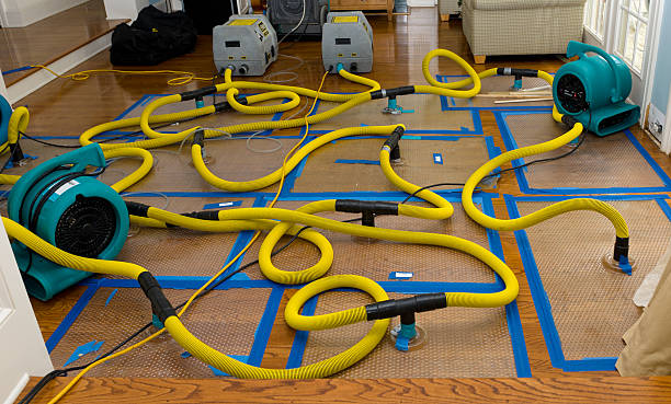 Professional Flood Damage Restoration technician working in Eloy, AZ